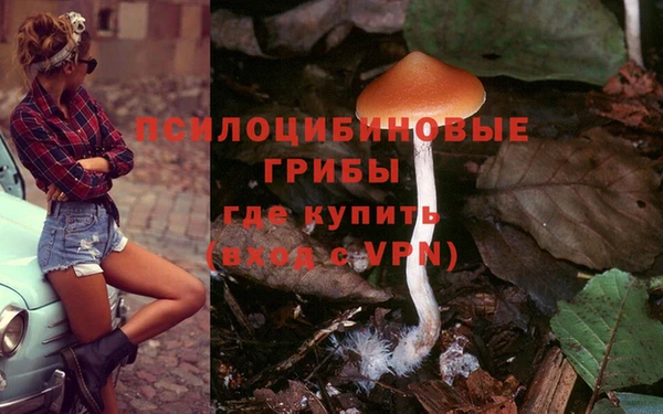 МДМА Новодвинск