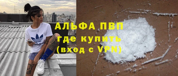 spice Новозыбков