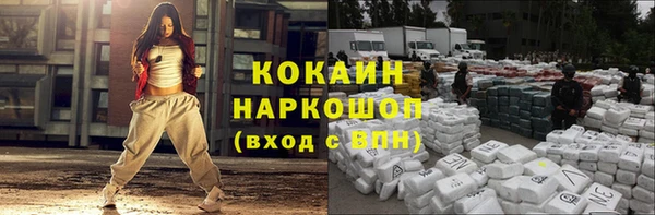 spice Новозыбков