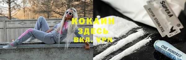 spice Новозыбков
