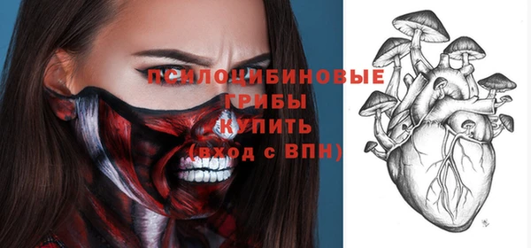 spice Новозыбков