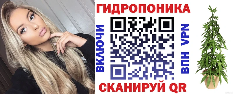 купить наркоту  Тайга  Бошки Шишки AK-47 